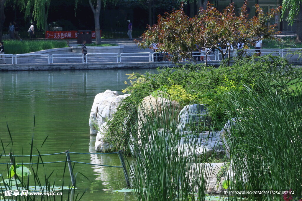 公园风景 