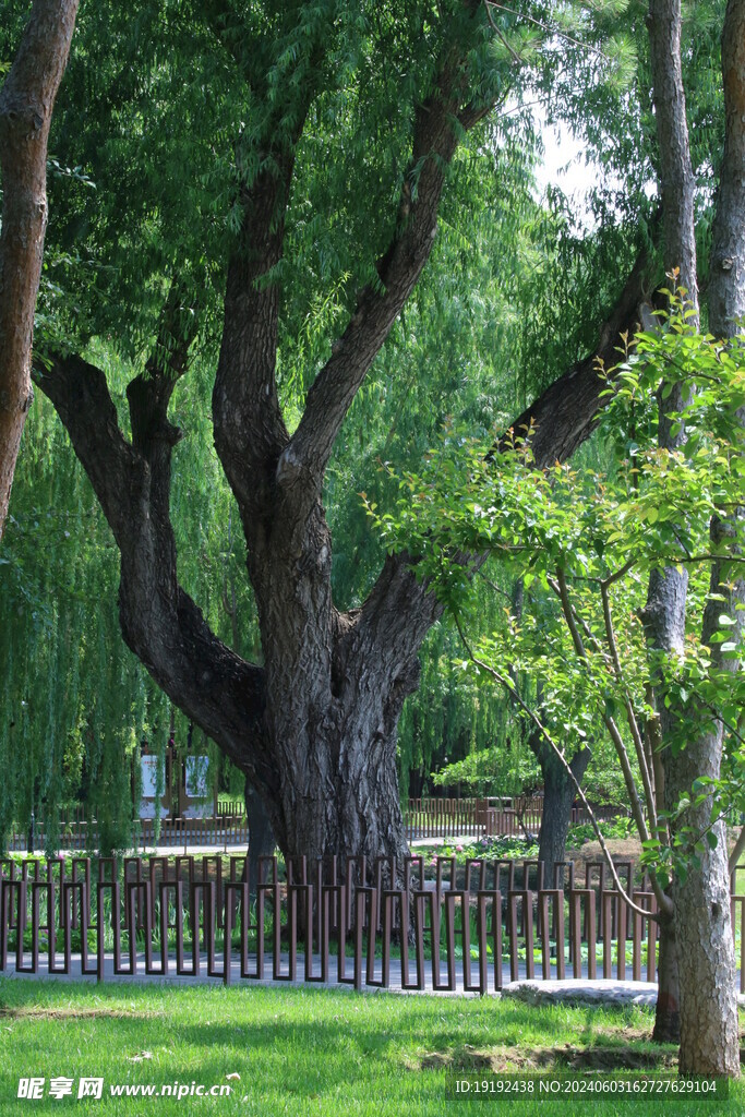 公园风景 