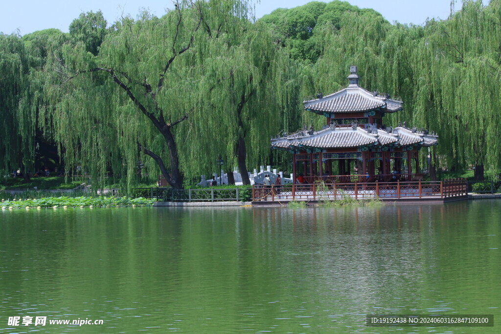 公园风景  