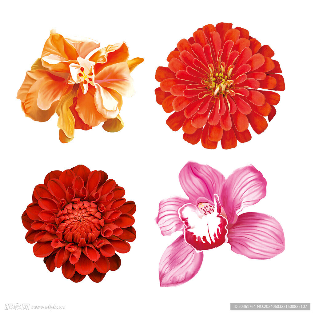 鲜花             