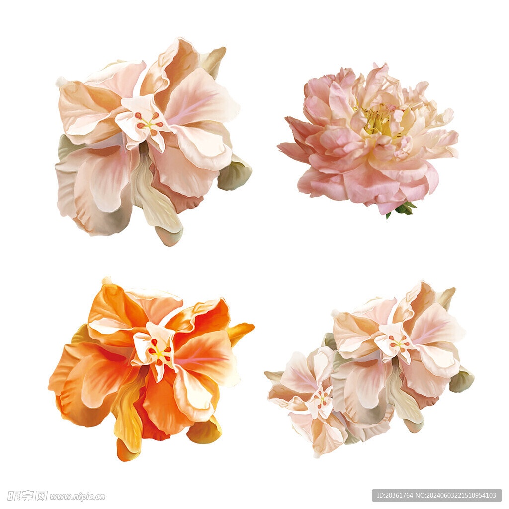 鲜花             