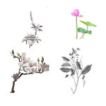鲜花             