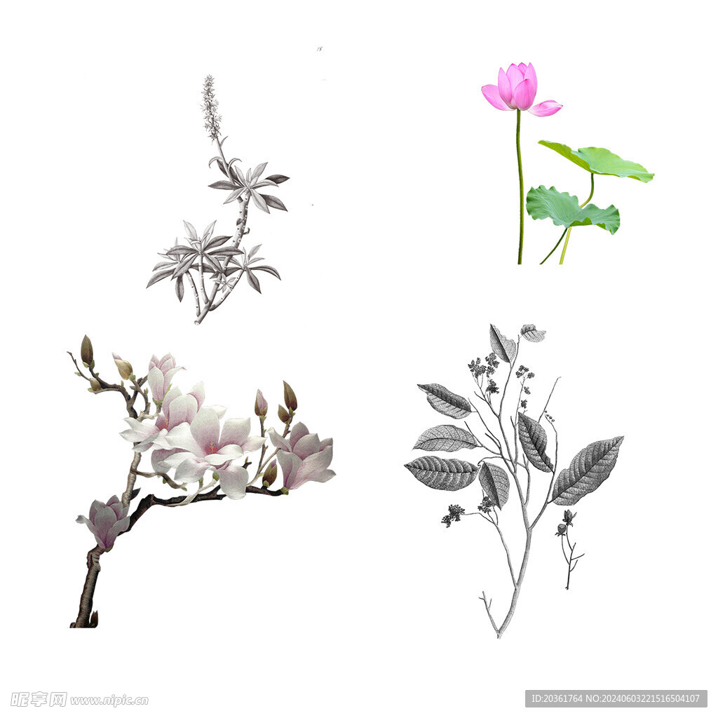 鲜花             