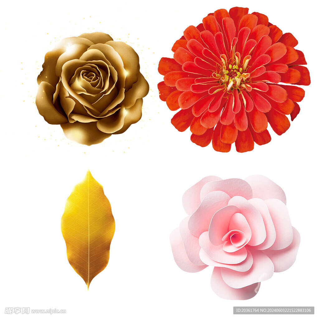 鲜花             