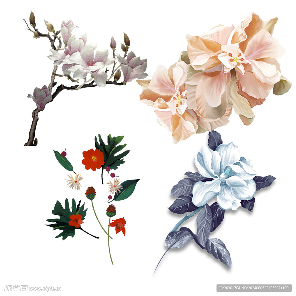 鲜花             