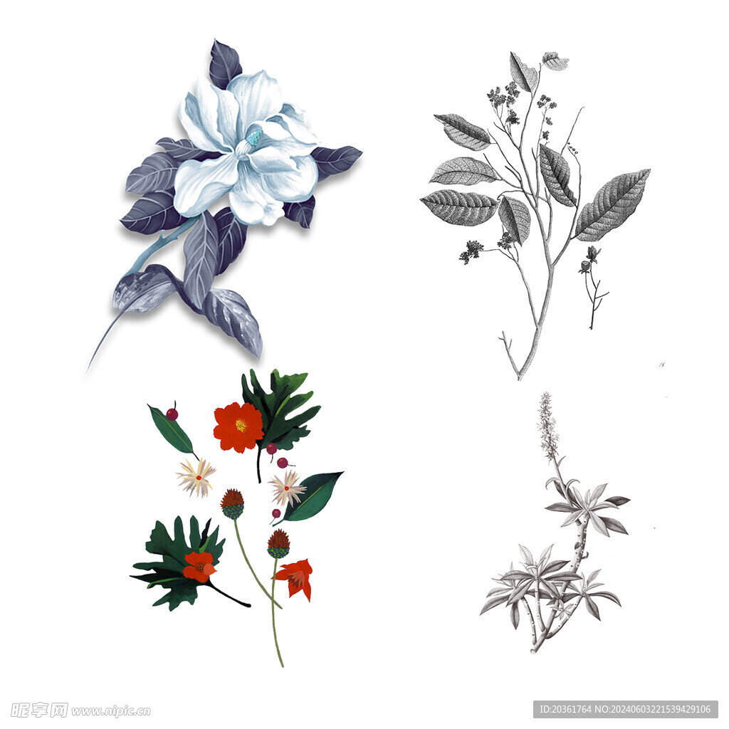 鲜花             