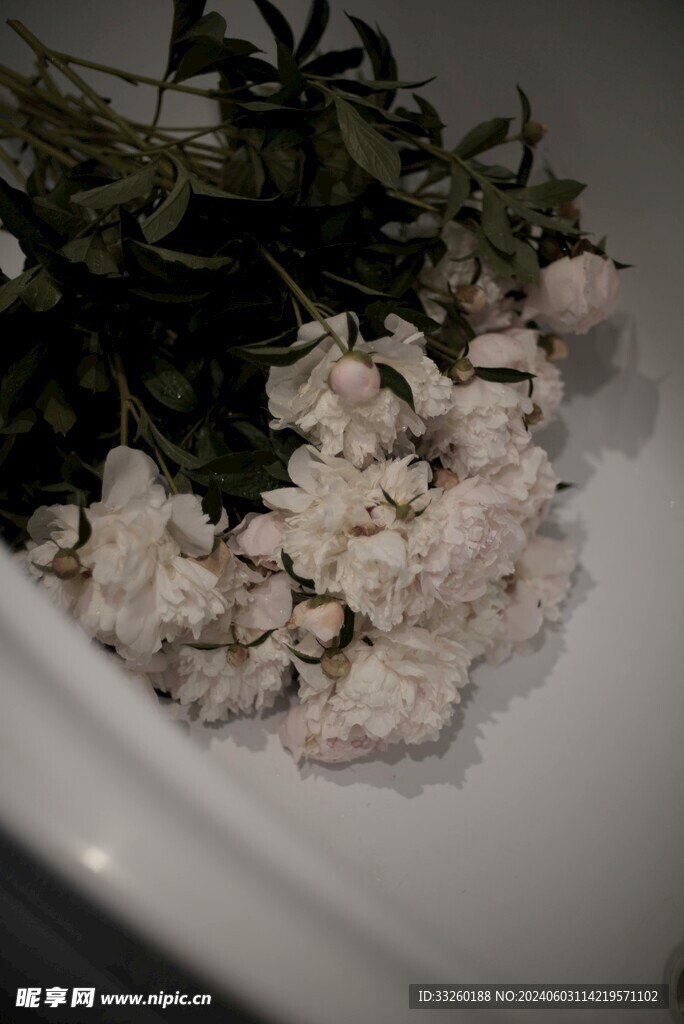 花簇