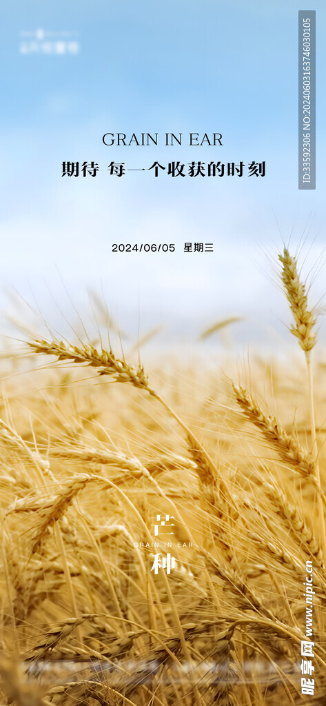 芒种