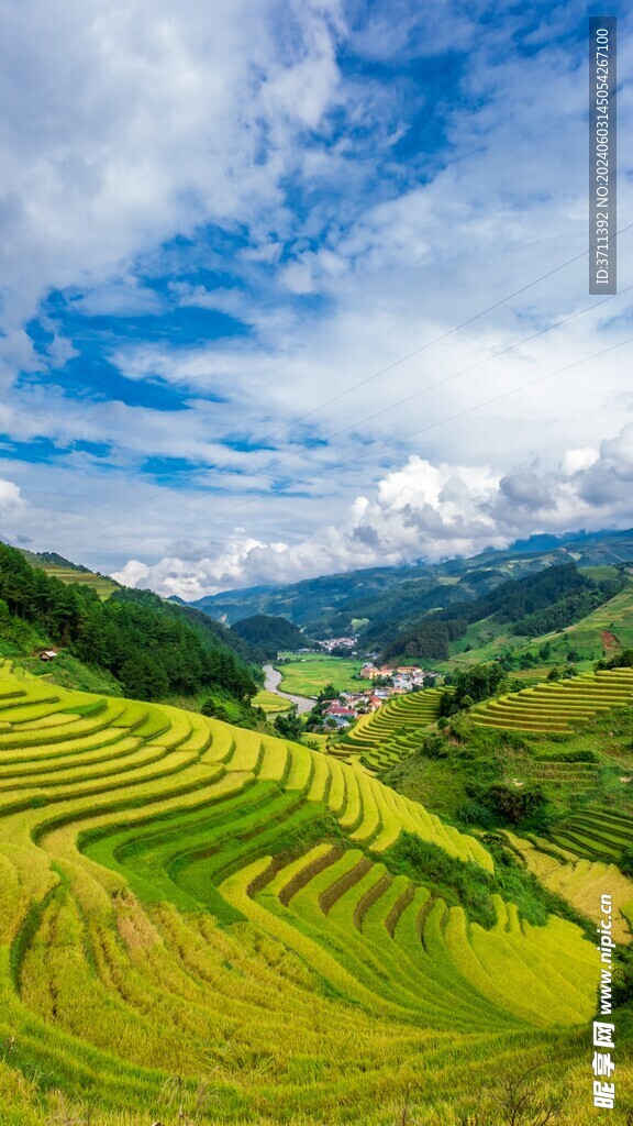 蓝天白云 绿地 梯田