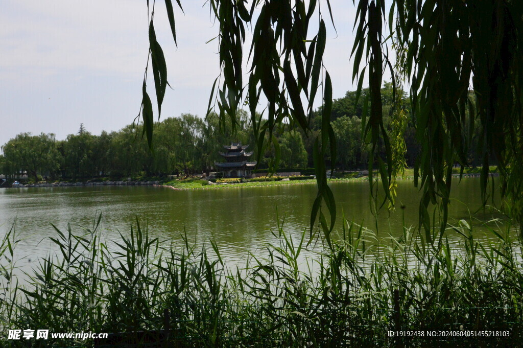 公园风景  