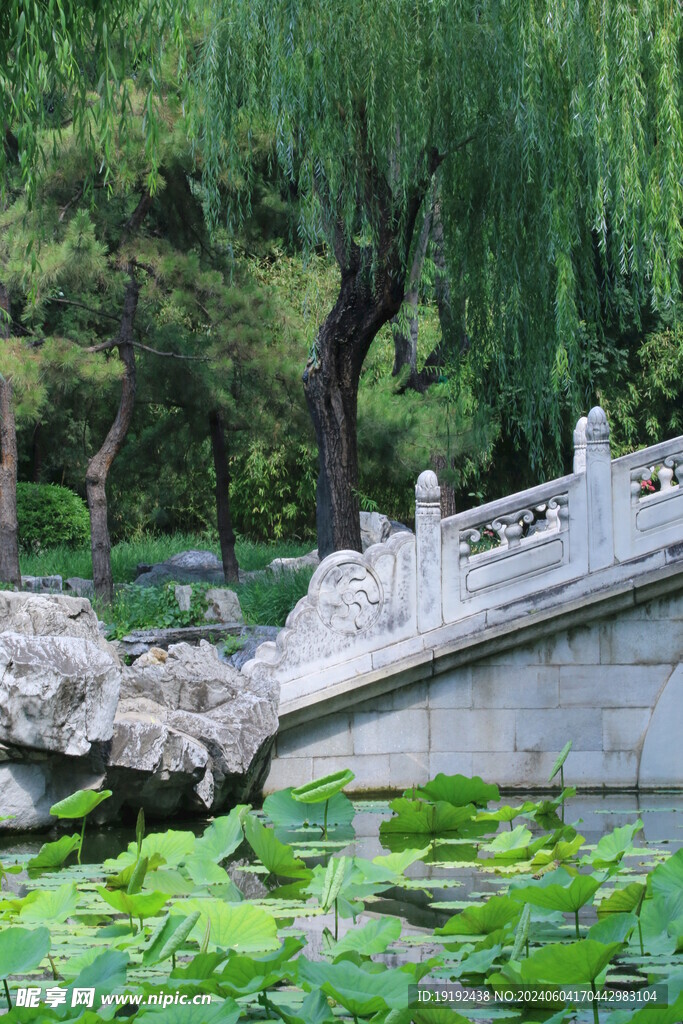 公园风景 