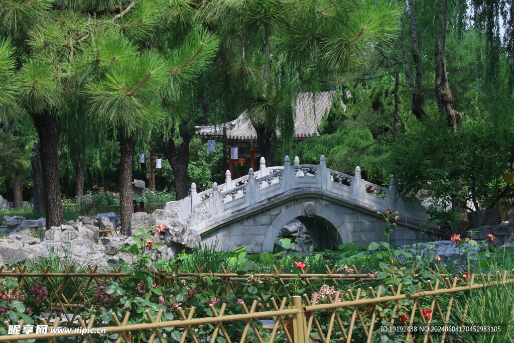 公园风景  