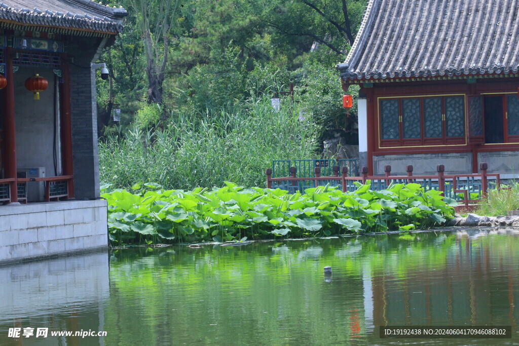 公园风景  