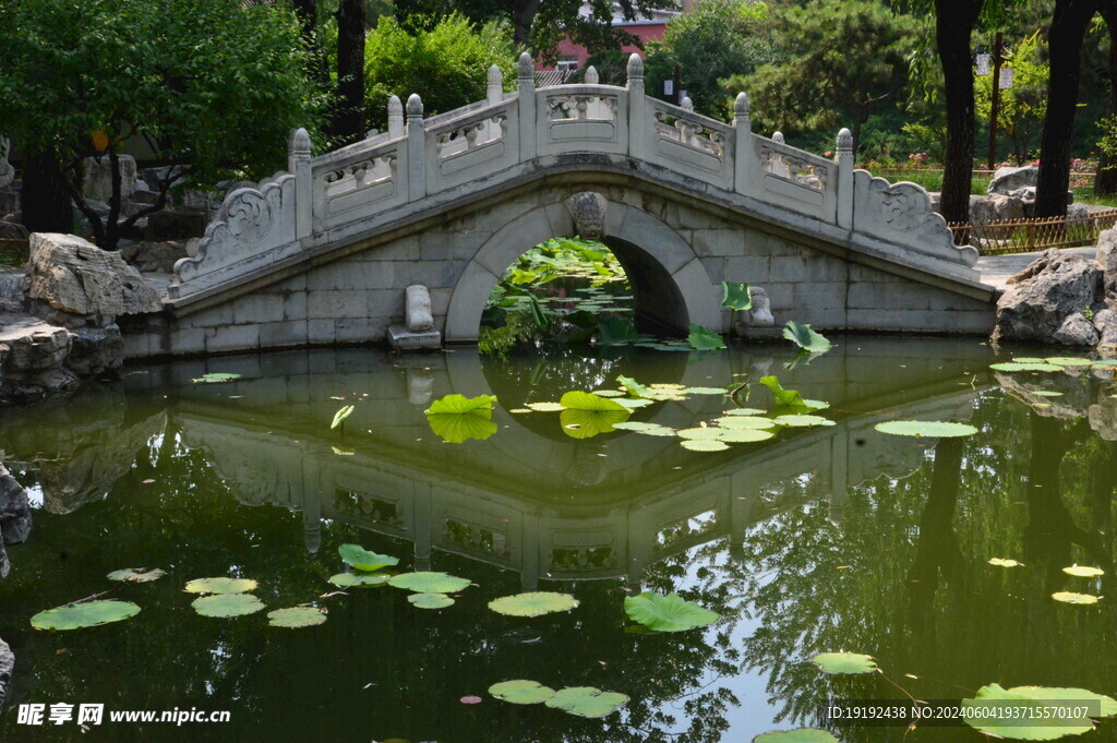 公园风景 