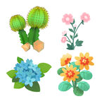 鲜花             