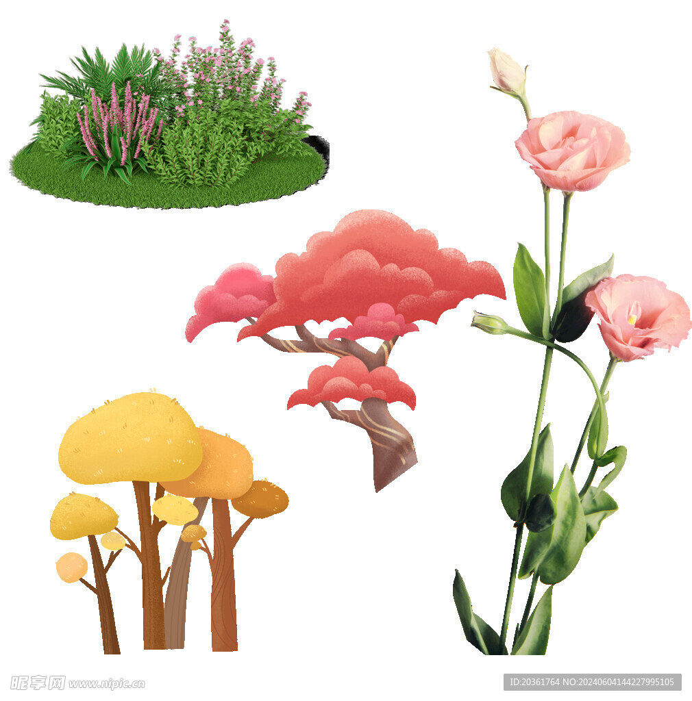 鲜花             