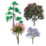 鲜花             