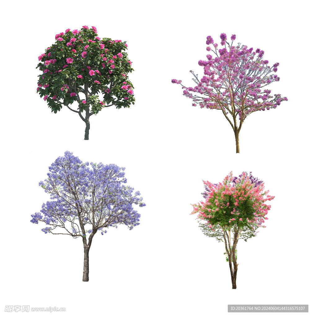 鲜花             