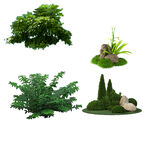 鲜花             