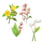 鲜花             