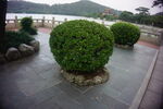 公园