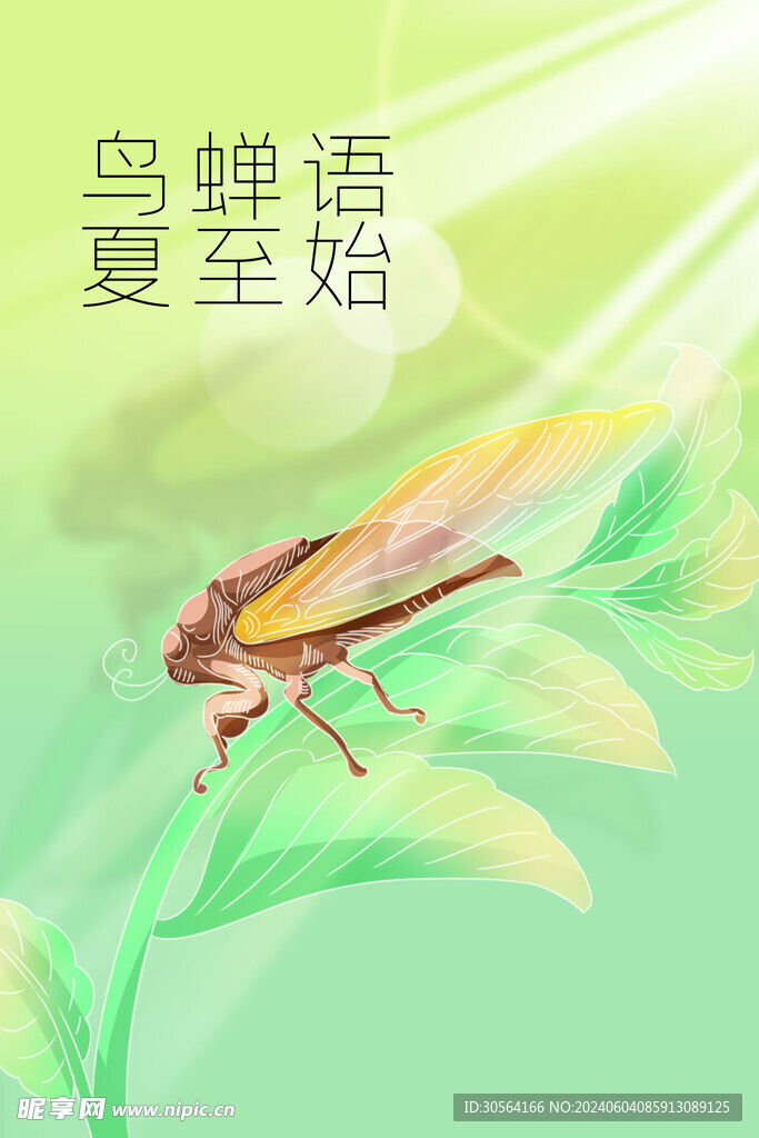 夏至