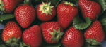 排列整齐的平铺草莓