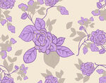 紫色玫瑰花