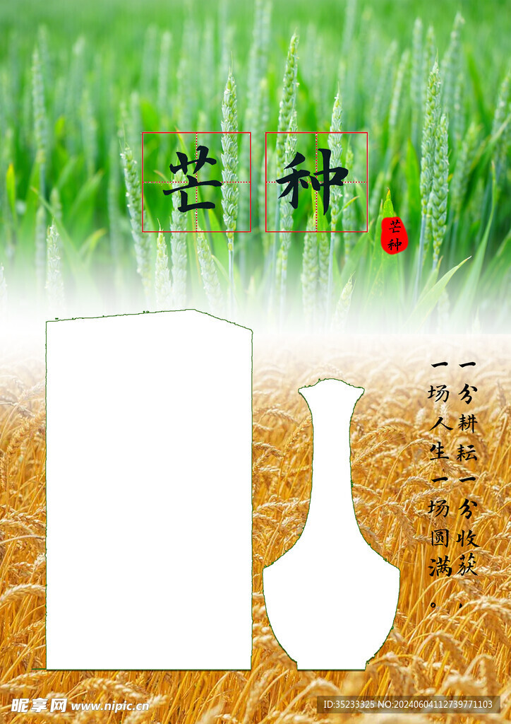 芒种节气