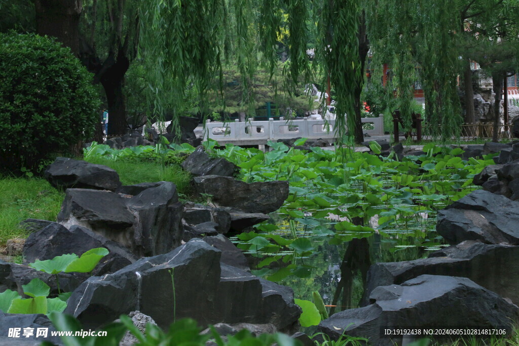 公园风景  
