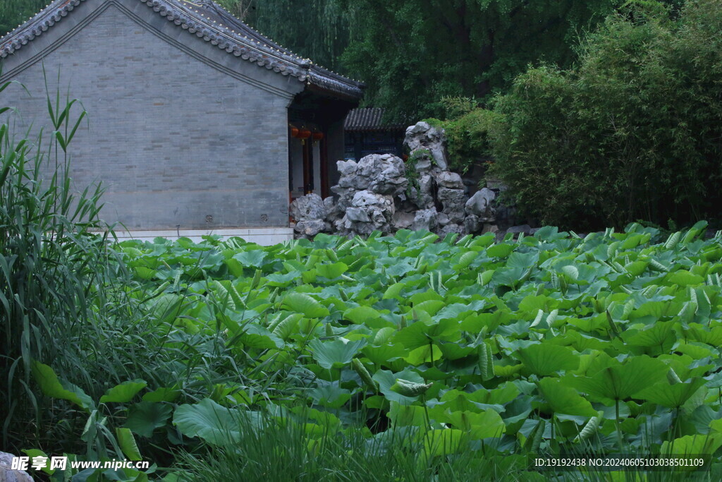 公园风景 