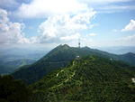 梧桐山            