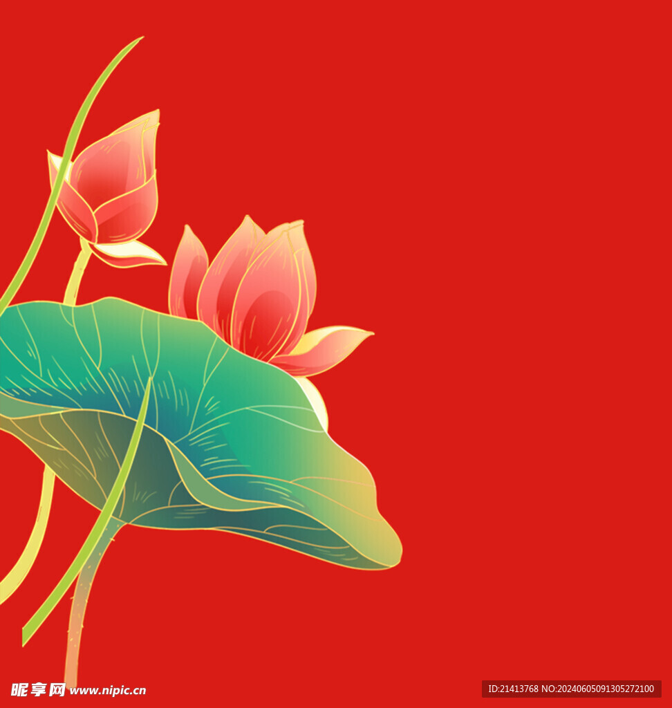 手绘荷花莲花