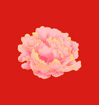 手绘牡丹花 