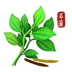 卡通荜茇