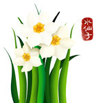 手绘水仙子