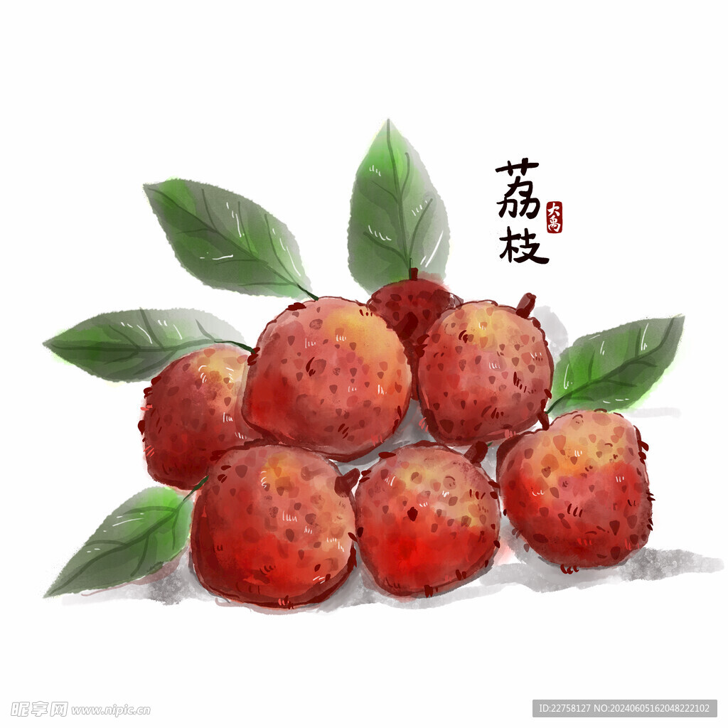 荔枝插画