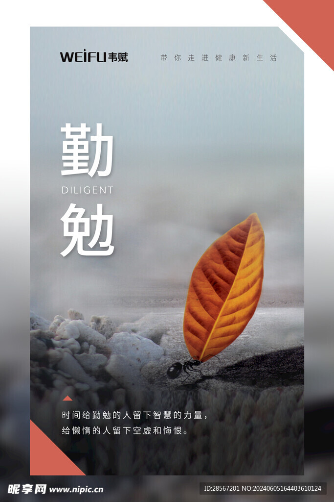 企业文化墙