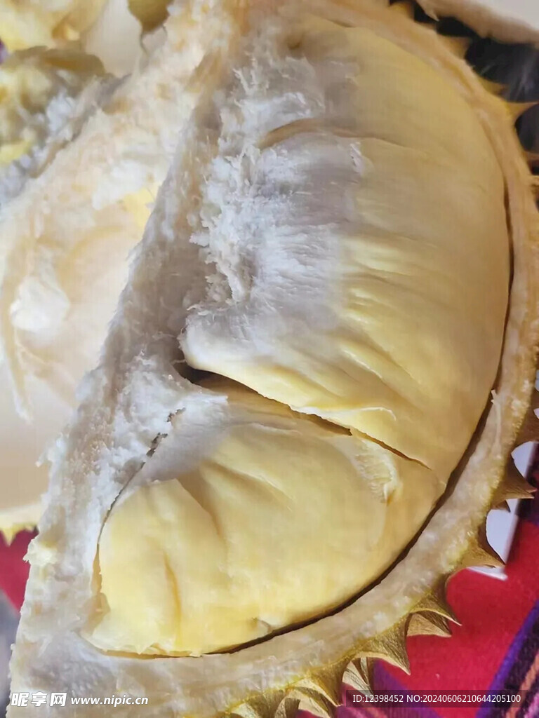 榴莲