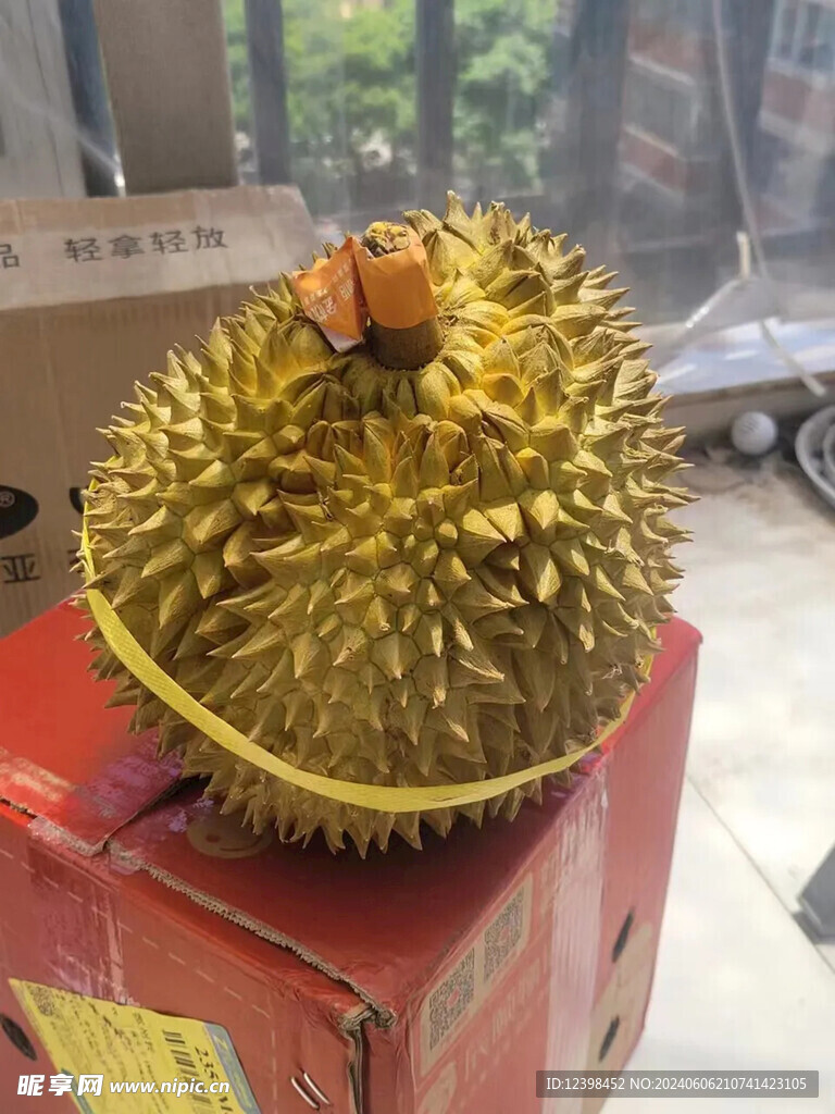 榴莲