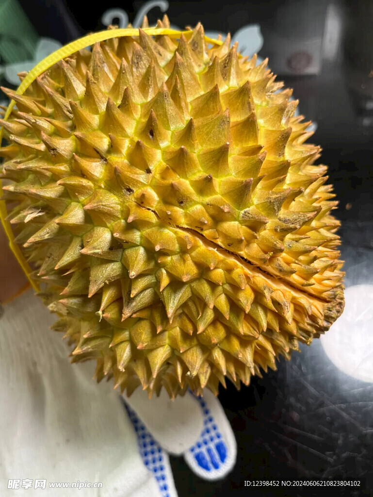 榴莲