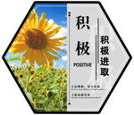 积极 积极进取