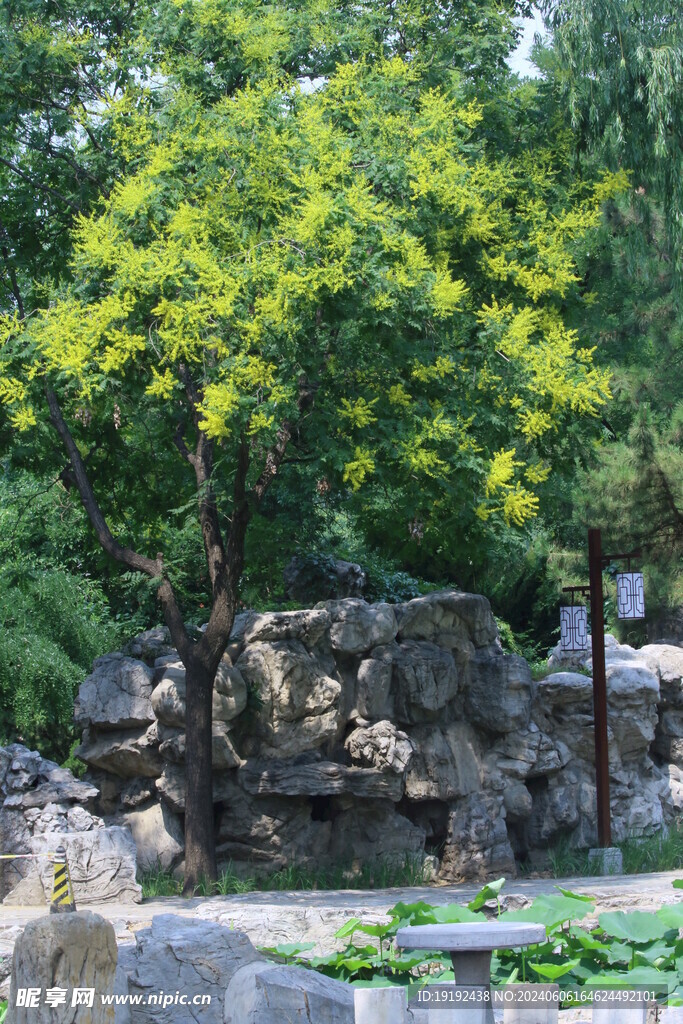公园风景  