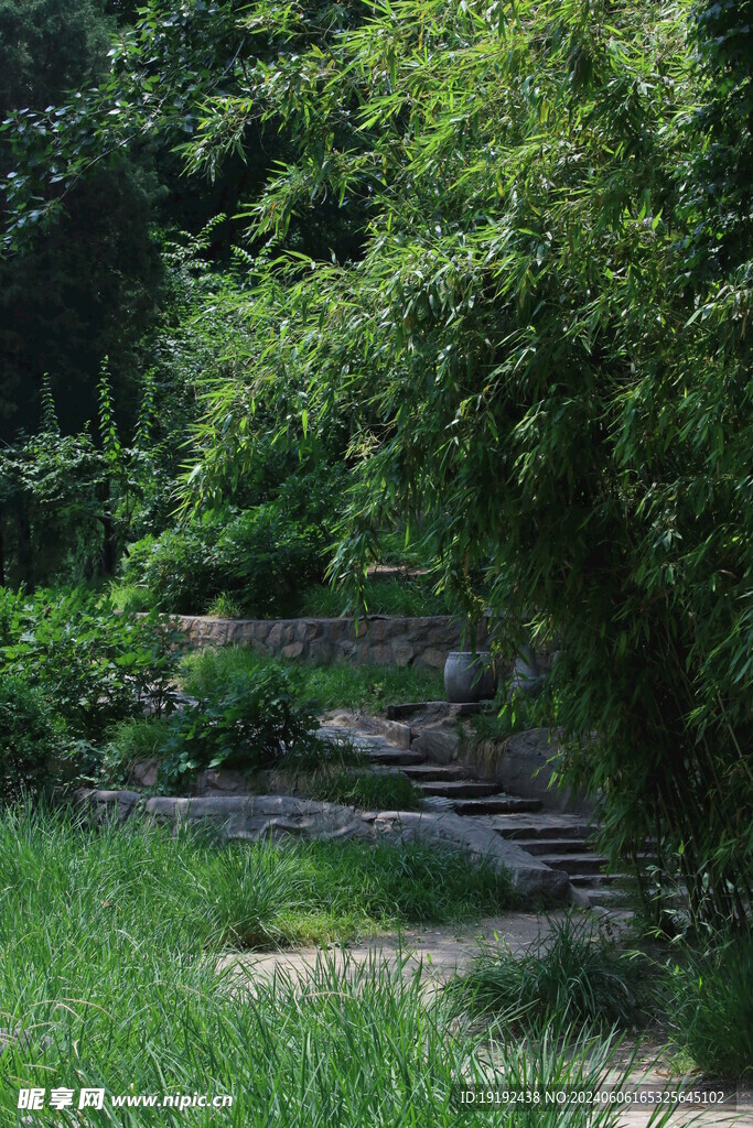 公园风景  