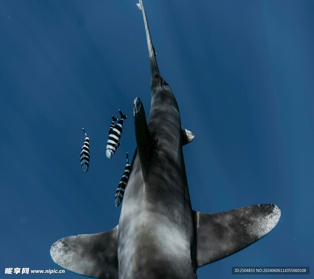 海底世界
