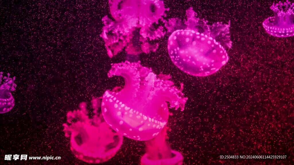 海底世界