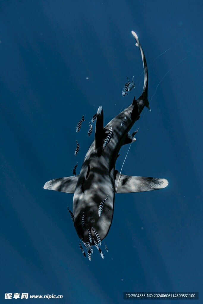 海底世界