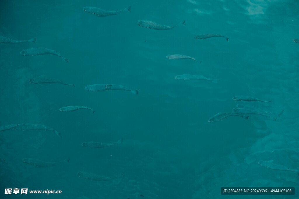 海底世界