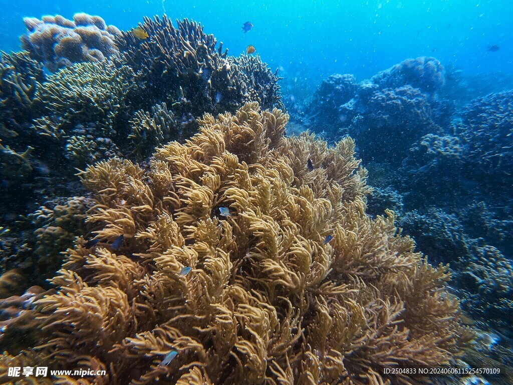 海底世界
