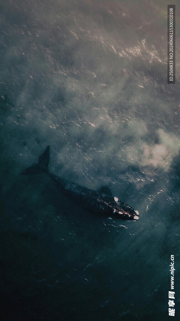 海底世界
